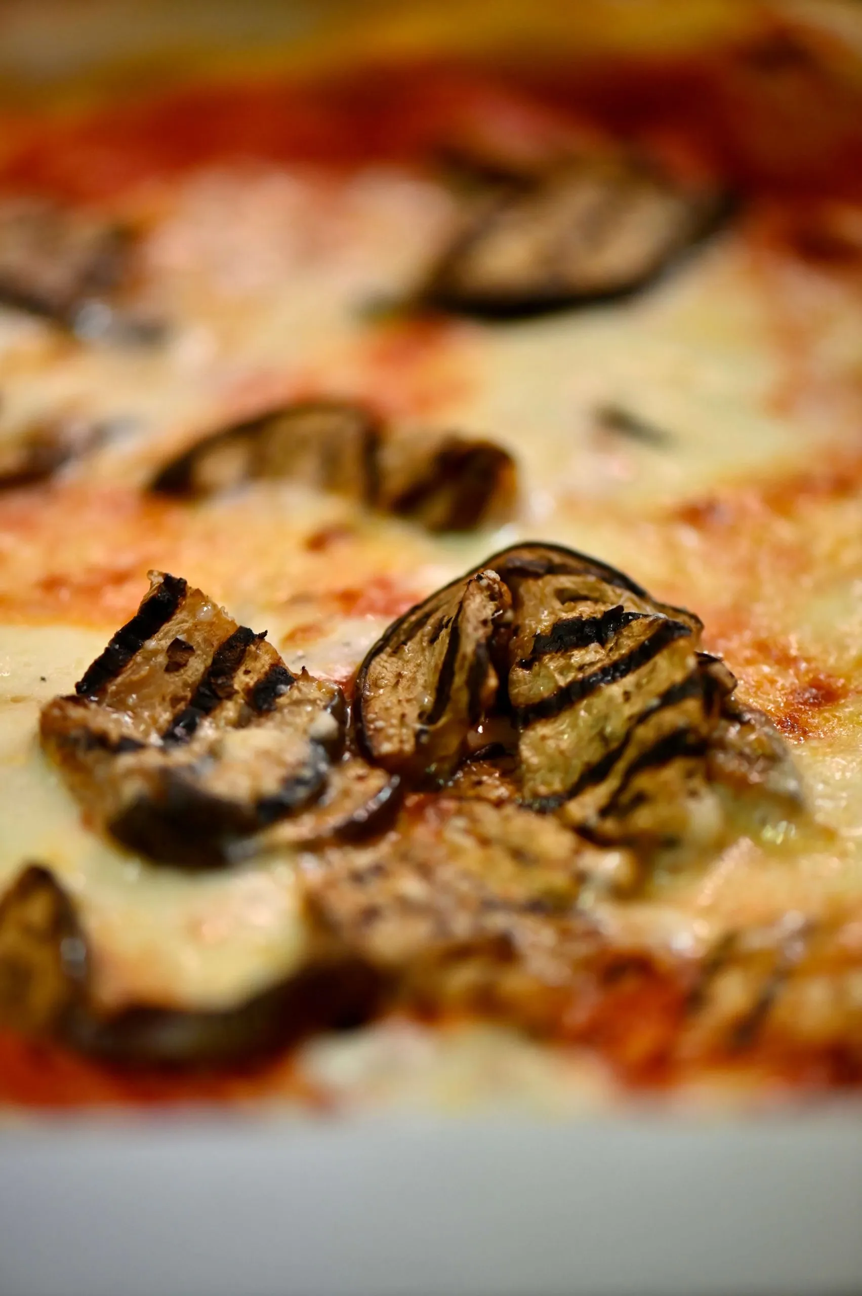 Dettaglio Il Tulipano Fossoli 12