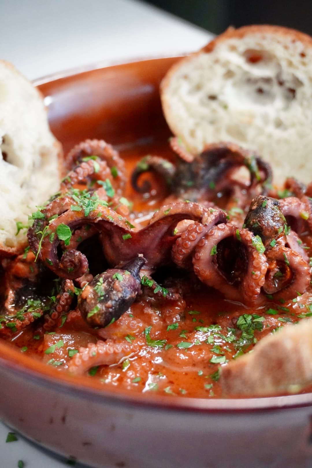 Dettaglio Il Tulipano Fossoli 7