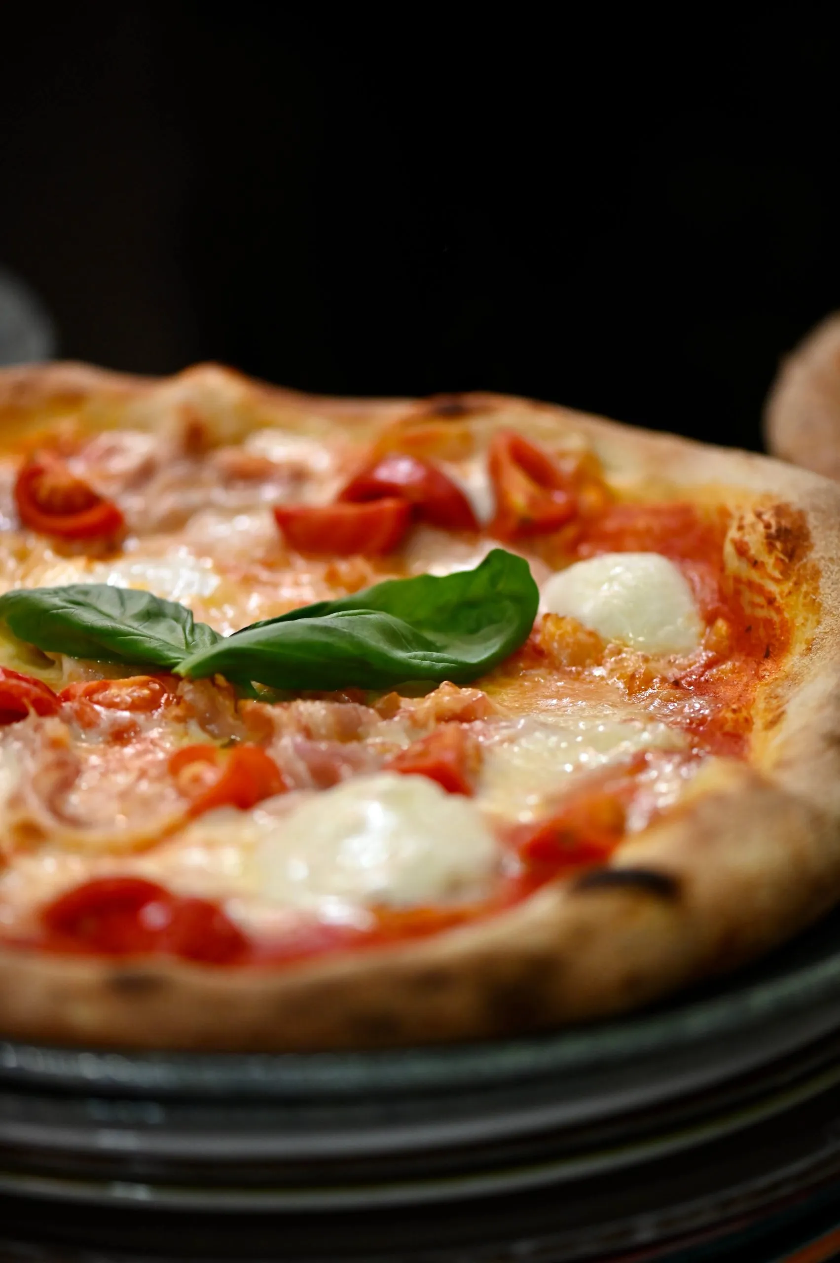 Dettaglio Il Tulipano Fossoli 14