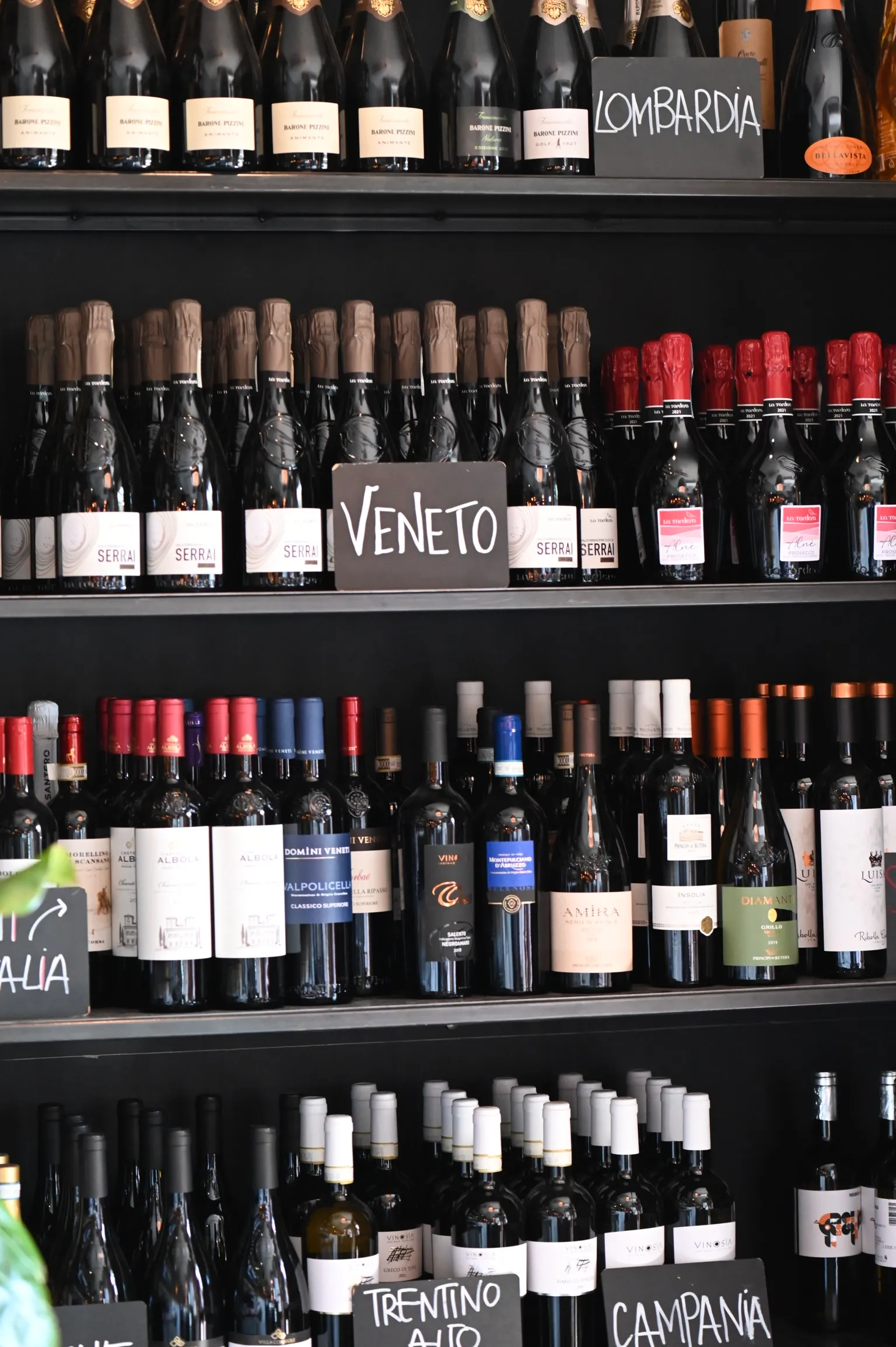 Dettaglio Il Tulipano Fossoli 8